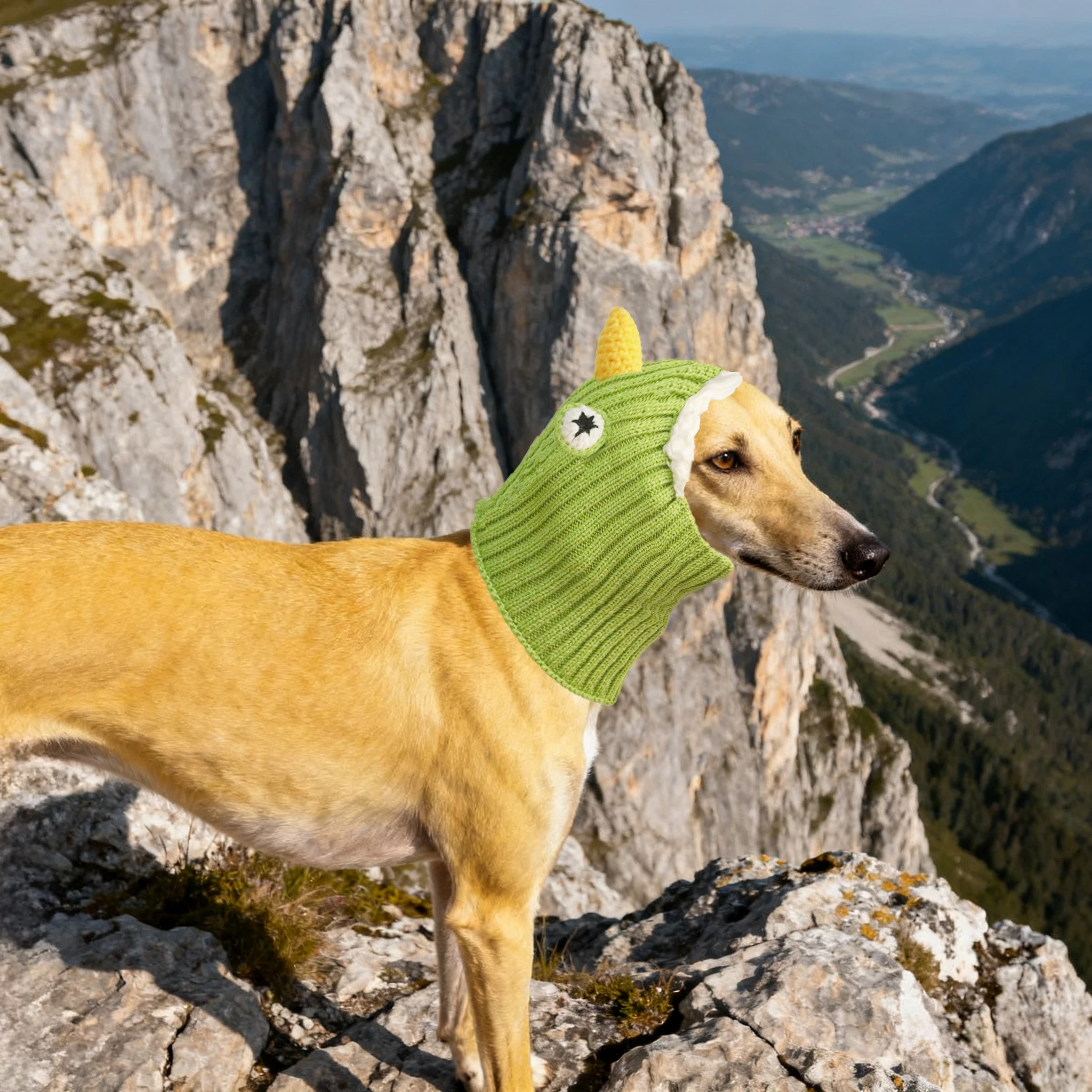 قبعات الكلاب لخريف وشتاء عبارة عن رواية بأناقة ولا يجب اقتناؤها للخروج #6