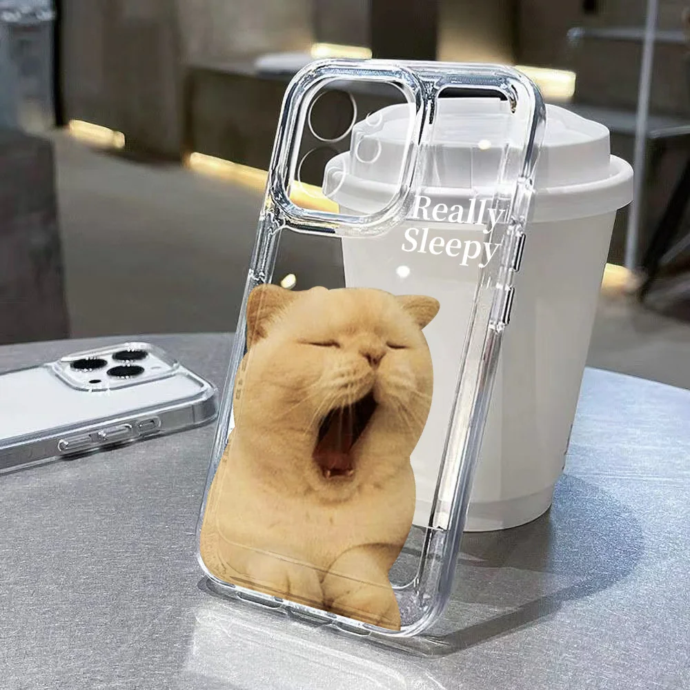 Cute Cat Clear Case For iPhone 14 Case iPhone 11 12 13 14 15 Pro Max X XR XS Max 7 8 Plus SE 2022 2020 Funda Soft Silicone Cover