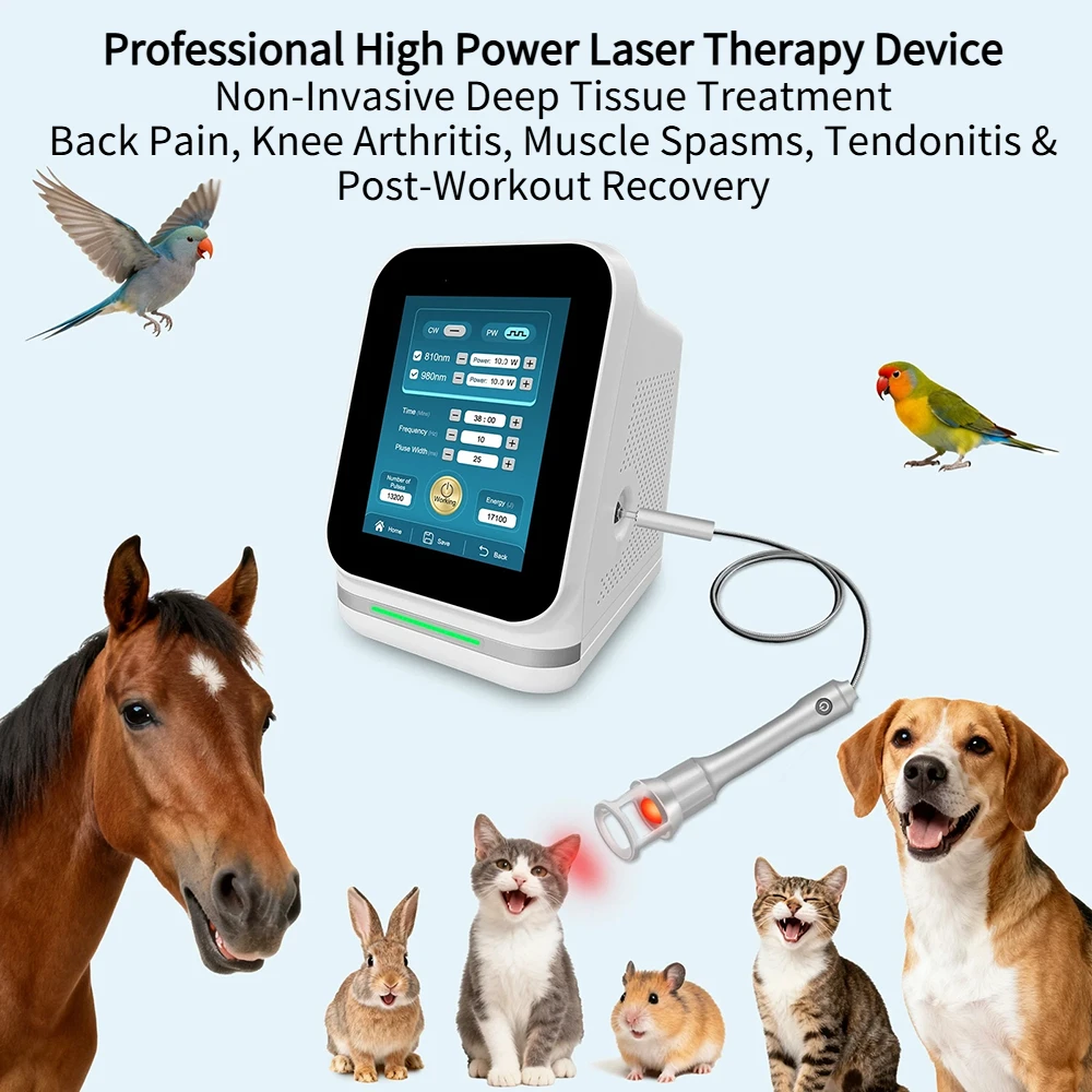 

Frovab Dual Wavelength Fiber Laser Therapy Device with 4 Different Types of Handpieces 810nm+980nm Class IV Laser Pain Relief