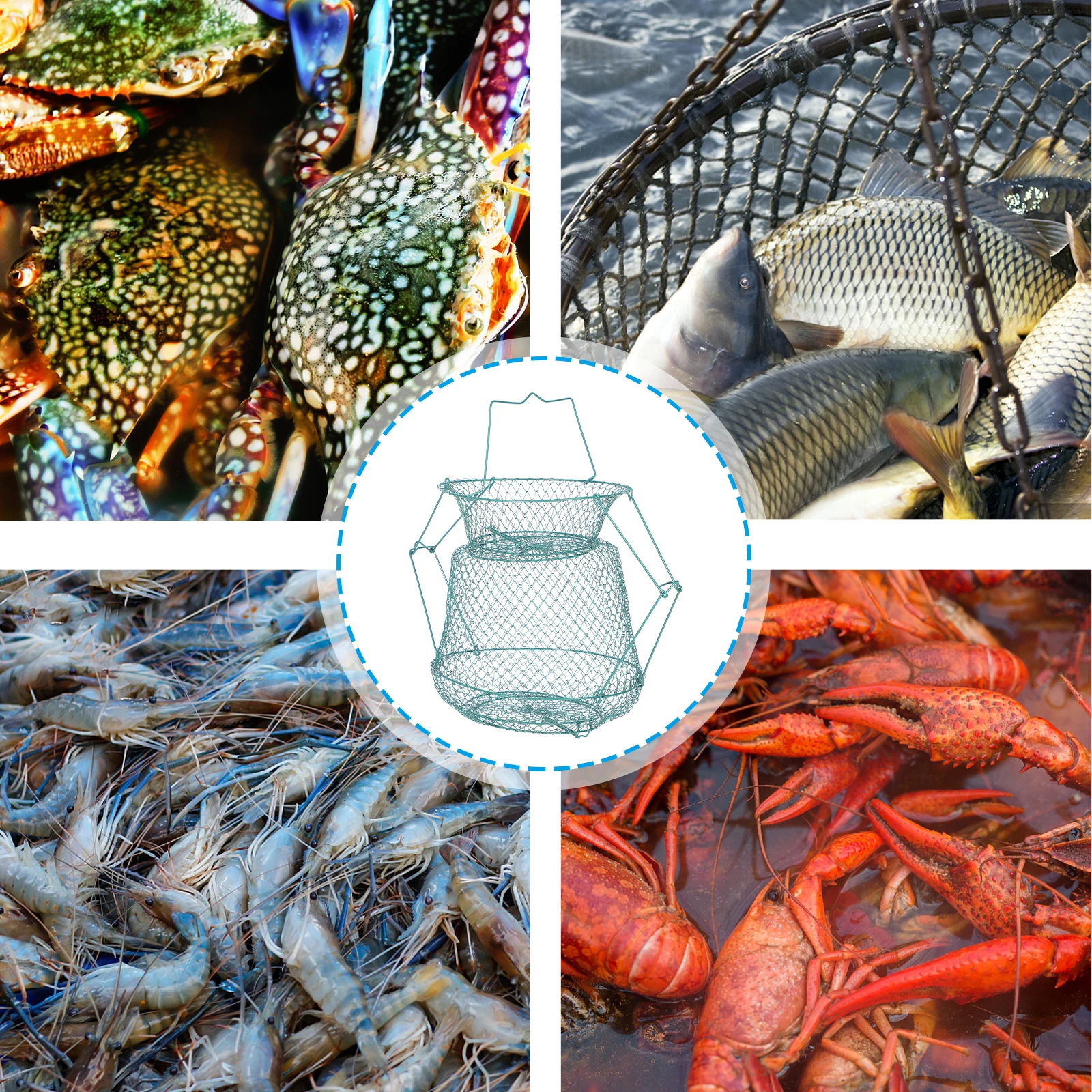 

Stainless Steel Basket Durable Fishing Net Quick Dry Material Fish Cage Storage Baskets Fish Net Cage Supplies