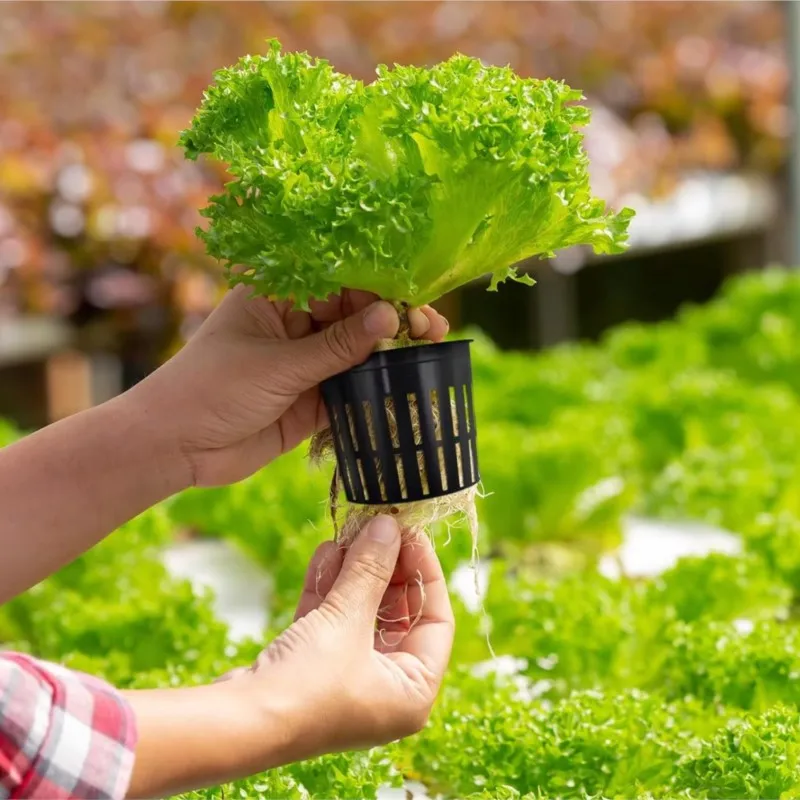10/20/50pcs Plant Grow Net Nursery Pots Cup Hydroponic Colonization Mesh Soilless Plastic Basket Holder Vegetable 4.5x3.5cm A5