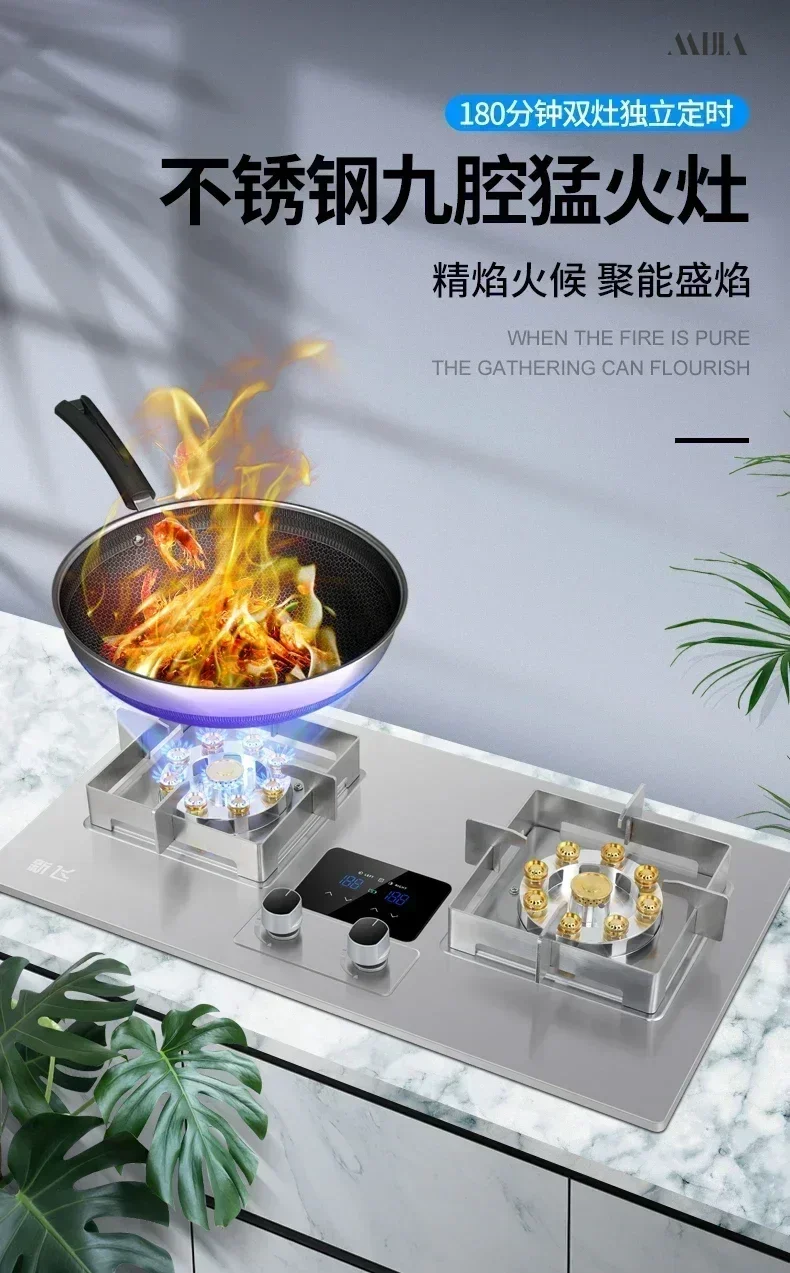 Home kitchen gas stove fierce fire timing stainless steel gas double stove table embedded