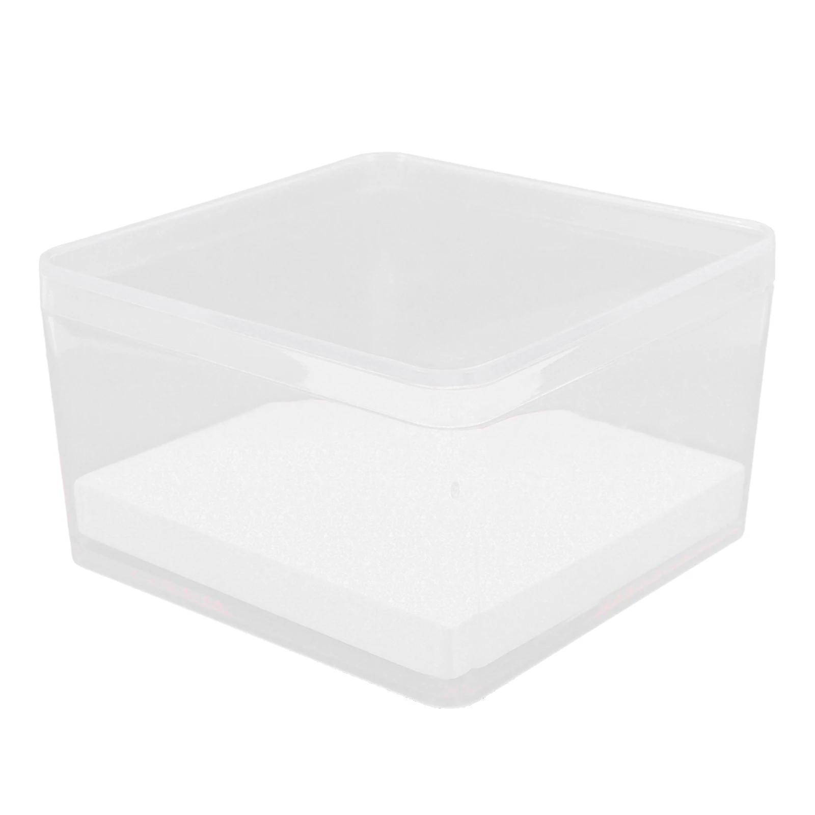 

1 Set Mini Transparent Insect Specimen Box Clear Display Case For Entomology Small Specimen Holder Secure Protection Display Box