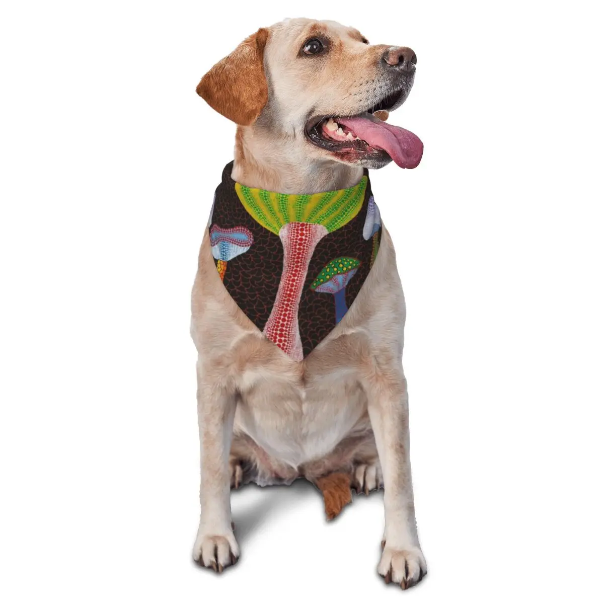Personalized Yayoi Kusama Art Pet Triangle Bibs Puppy Cat Scarf Neck Decoration Thin Japanese Artist Pet Bandana Pet Accessories