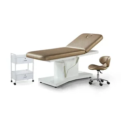 Modern Luxury Adjustable Height and Backrest Therapy Spa Salon Cosmetic Electric Beauty Treatment Massage Table Facial Bed