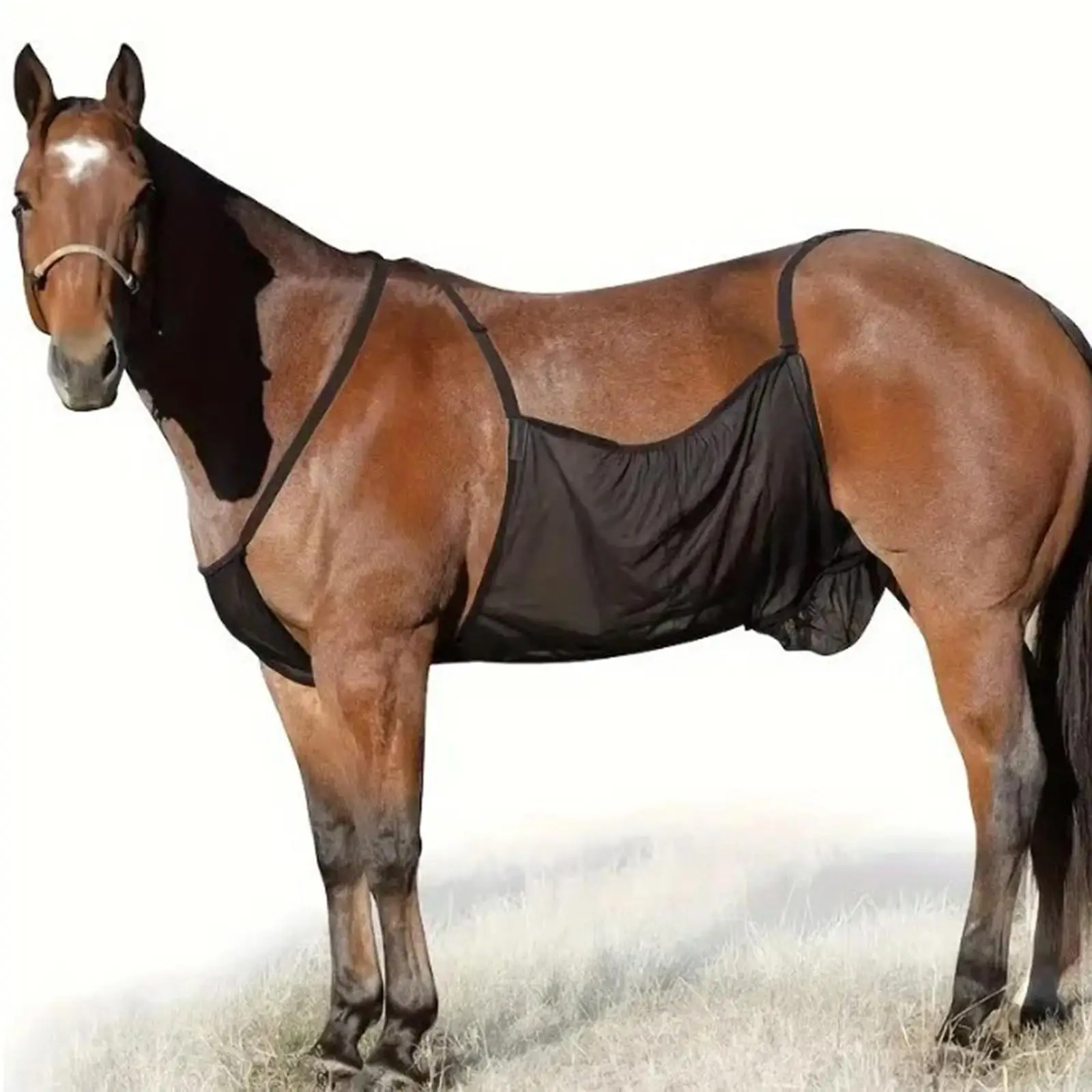 Hoja para moscas de caballo, protector para el vientre, cubierta protectora para el Abdomen, antiarañazos, transpirable, suministros para mascotas, envoltura para montar, ajuste estable en verano