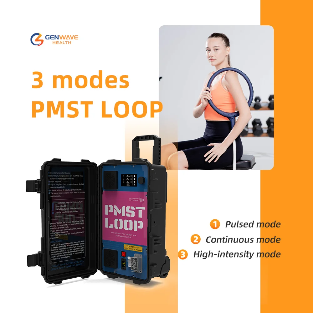 PMST Loop PEMF Magnetic Therapy Magneto High Effective Physiotherapy Machine