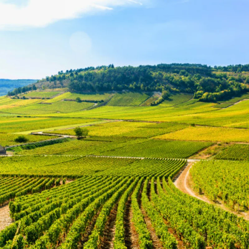 

Для 1/8 RC раллийных автомобилей, дорожные шины, шестигранные пластиковые колеса 17 мм для гоночного автомобиля 1/7 1/8 KM WRC C3 ARRMA