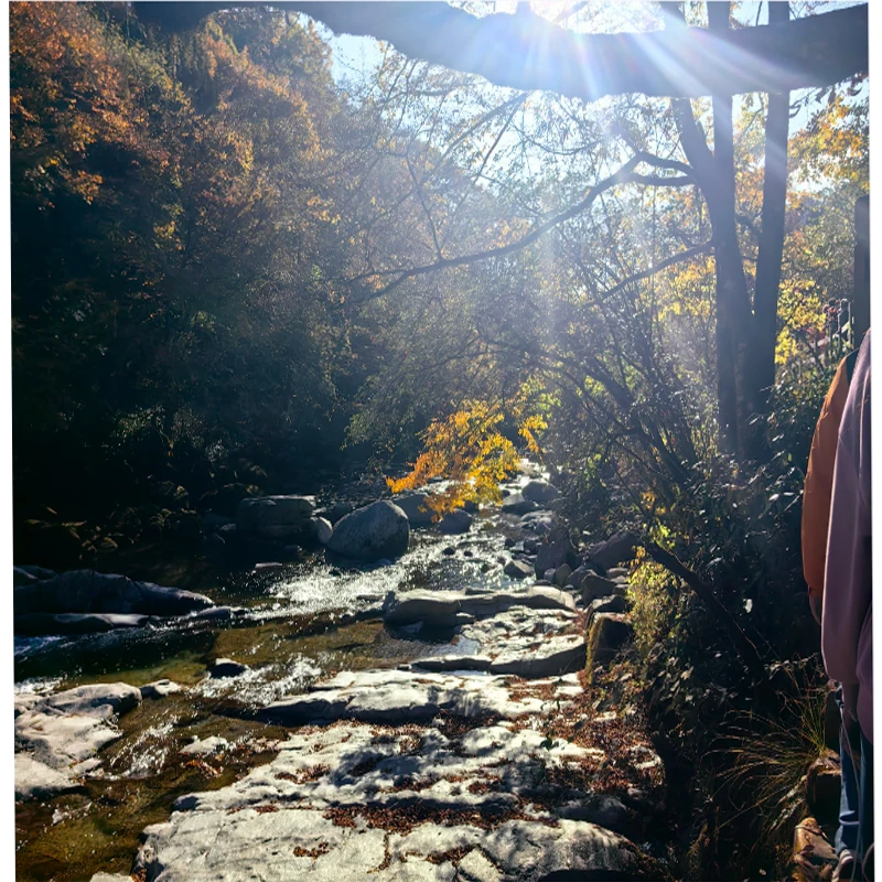 JHEMCU F405 NOXE V2 フライトコントローラー バロメーター OSD 16MB ブラックボックス 5V 10V デュアルBEC 20X20mm 3-6S LIPO FPVフリースタイルドローン用