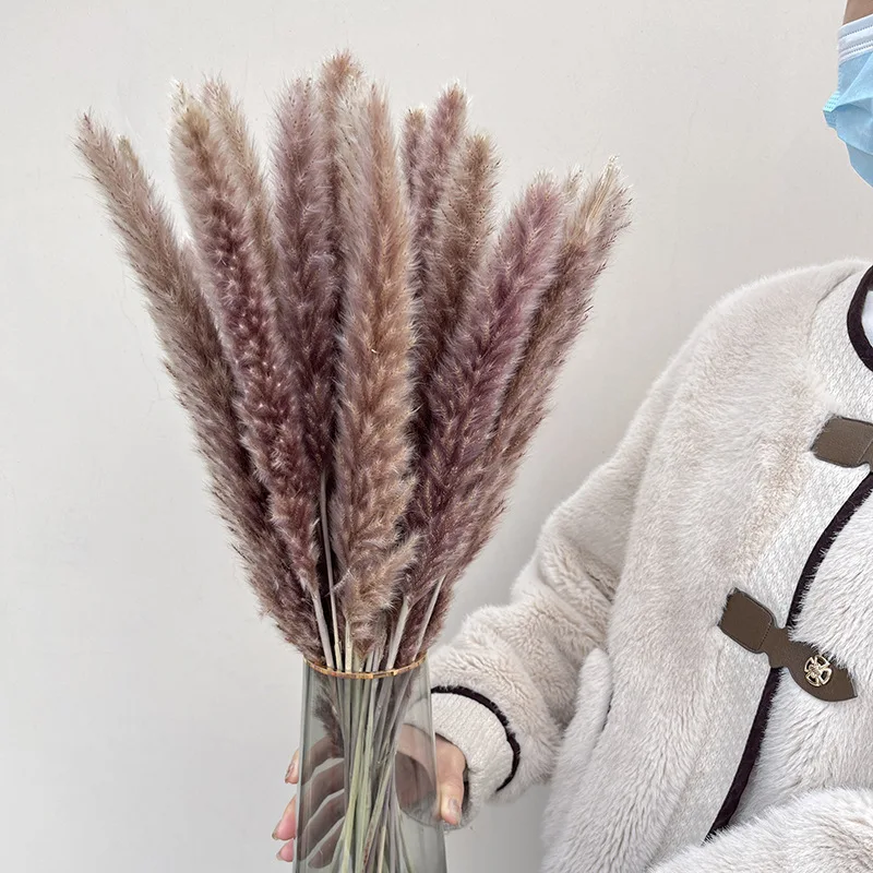 Natural Fluffy Pampas Grass Dry Pompous Grass Decor Wedding Flower Boho Decor Natural Pompas Flower Bouquet Millet flore - Image 6