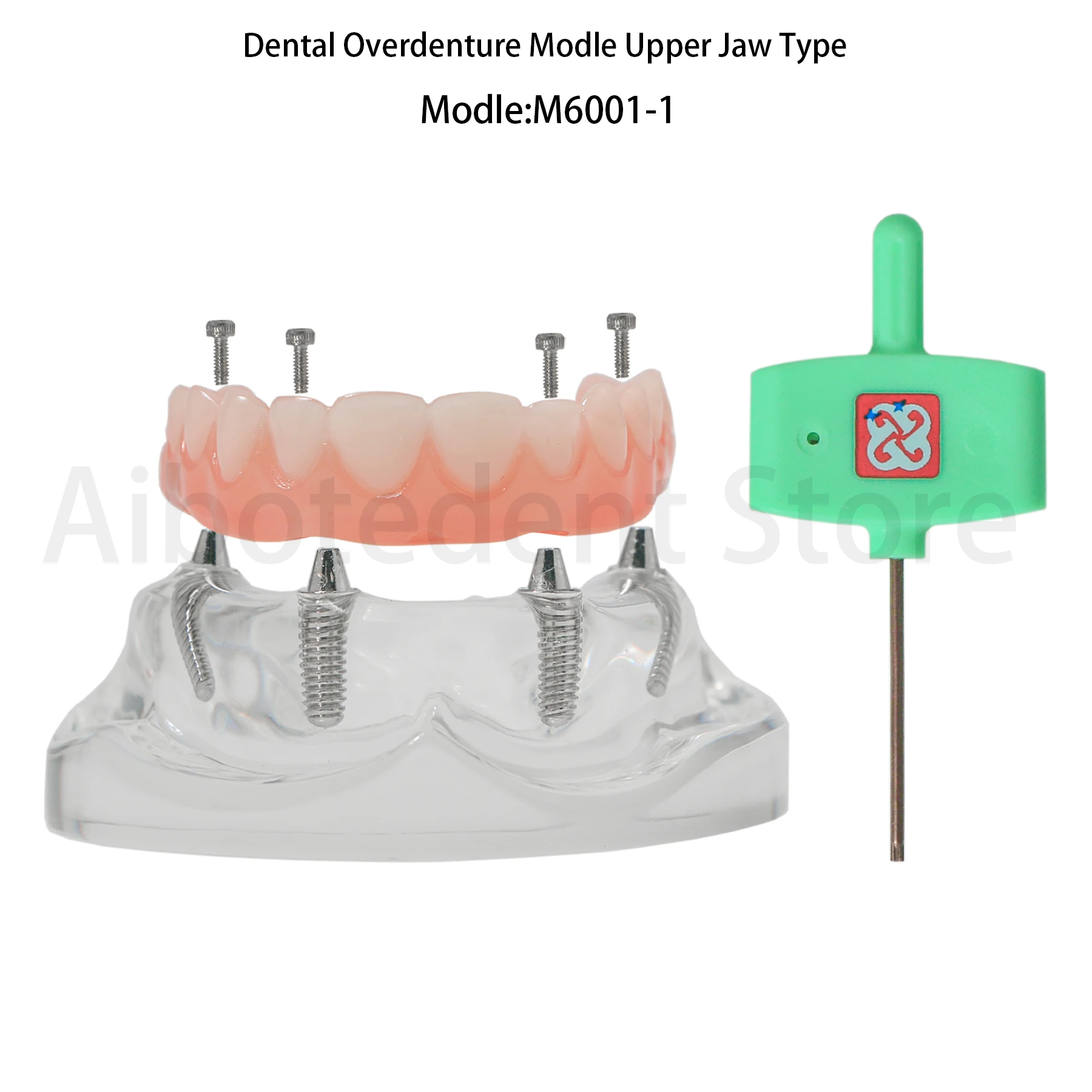 Dental Teeth Model All-on-4 Overdenture Implant Model Upper/Lower Jaw-Clear With 4 Screw M6001-1 M6027