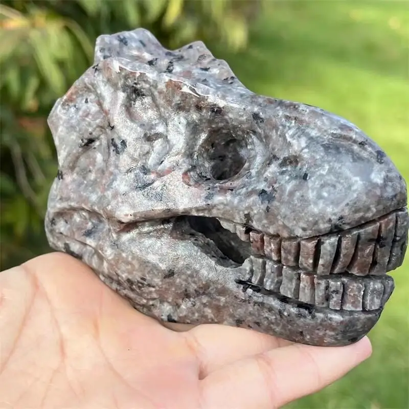 Natural Yooperlite Dinosaur Skull Carving Statue Realistic Feng Shui Healing Reiki Ornament Art Collectible Gift 1PCS 10/15MM