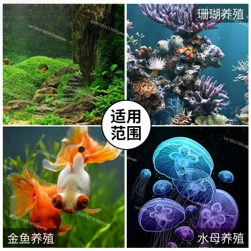 Small Silent Aquarium Chiller Cooling & Heating Thermostat | Mini Water Chiller for Fish Tank Coral Jellyfish Aquarium Tank