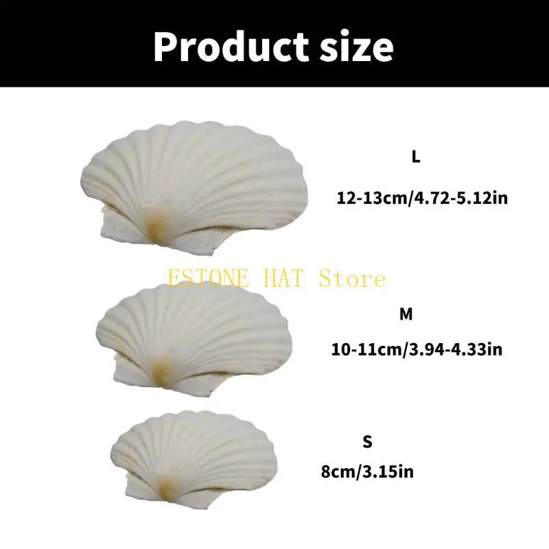 49MF White Scallops Shells for Unique Ocean Crafts Beach Weddings Decors