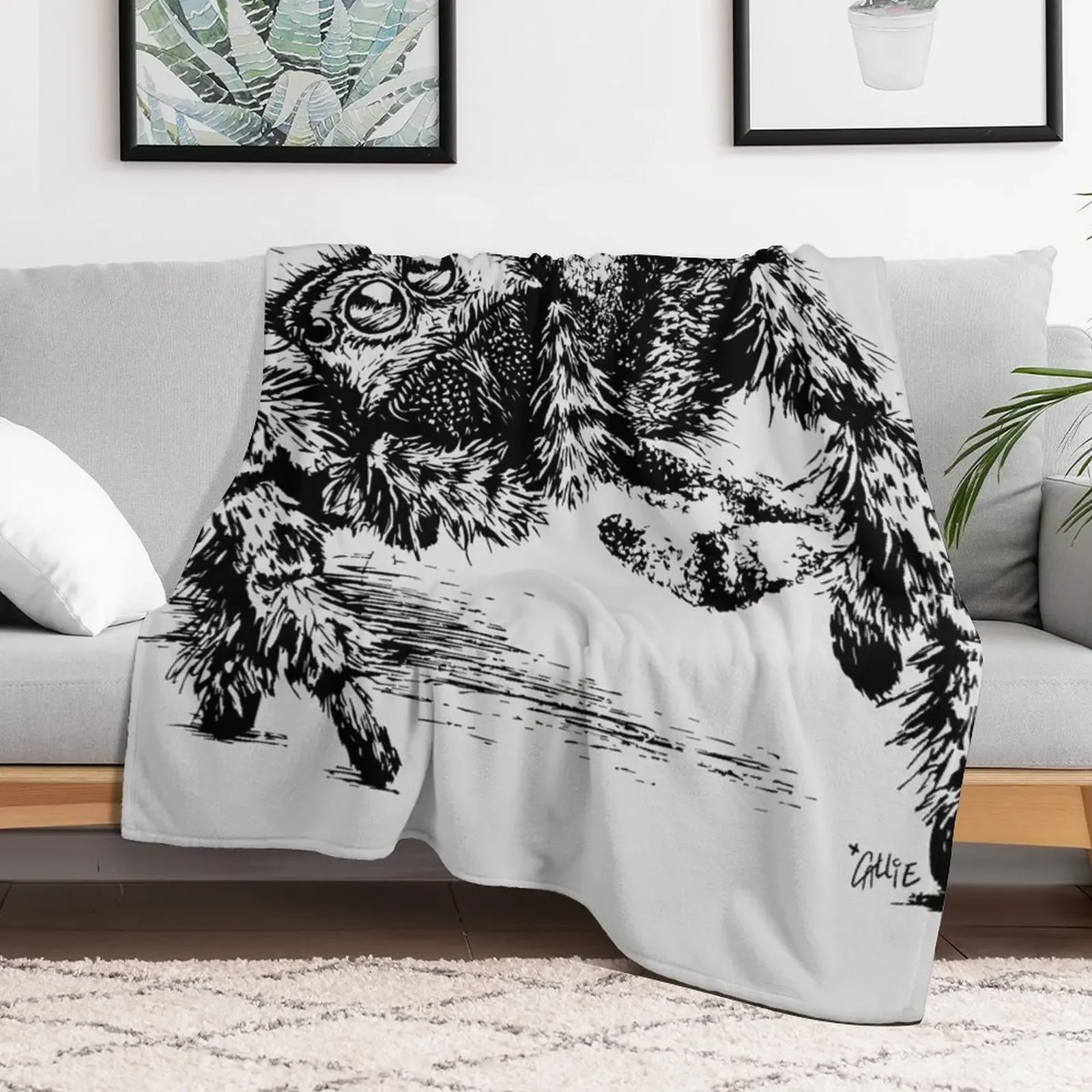 Jumping Spider Encounter Throw Blanket Soft Home Decor Blanket for Couch Bedroom