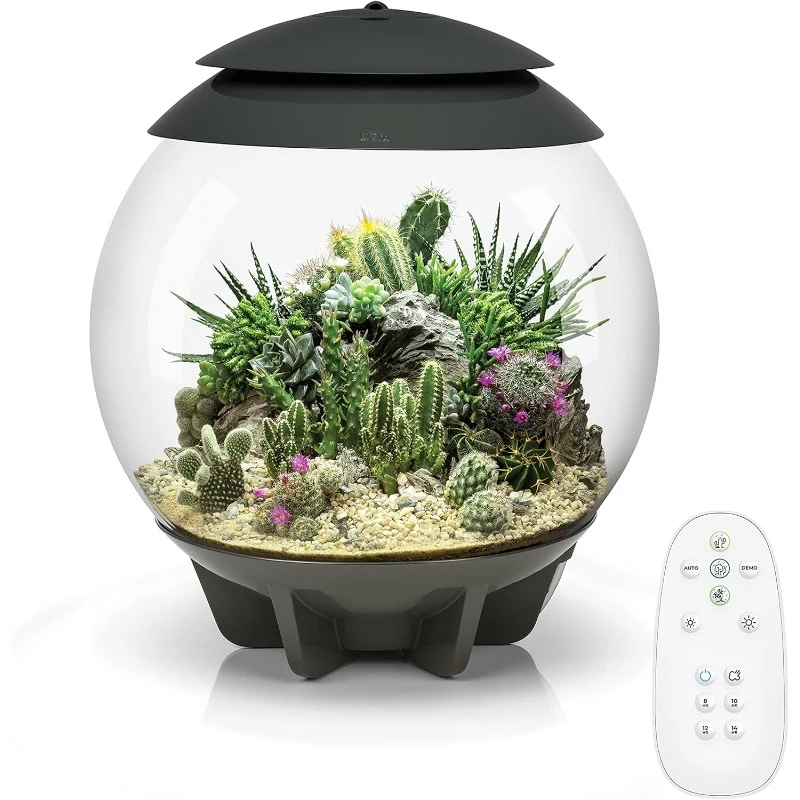 AIR 30, Fully Automated Terrarium for Arid, Temperate, or Tropical Plants, Gray home.