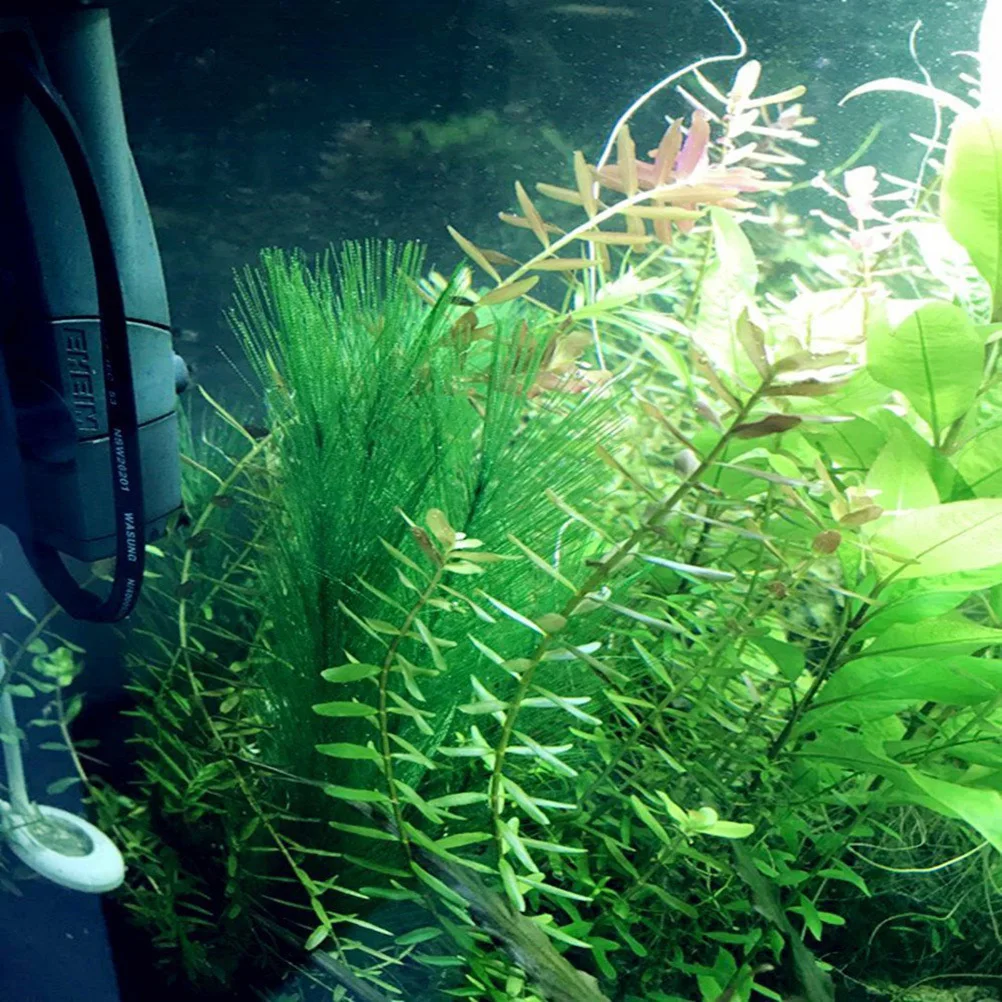 

3Pcs Aquarium Artificial Plant Set Realistic Design Low Maintenance Premium Material Fish Tank Decoration for Home Office