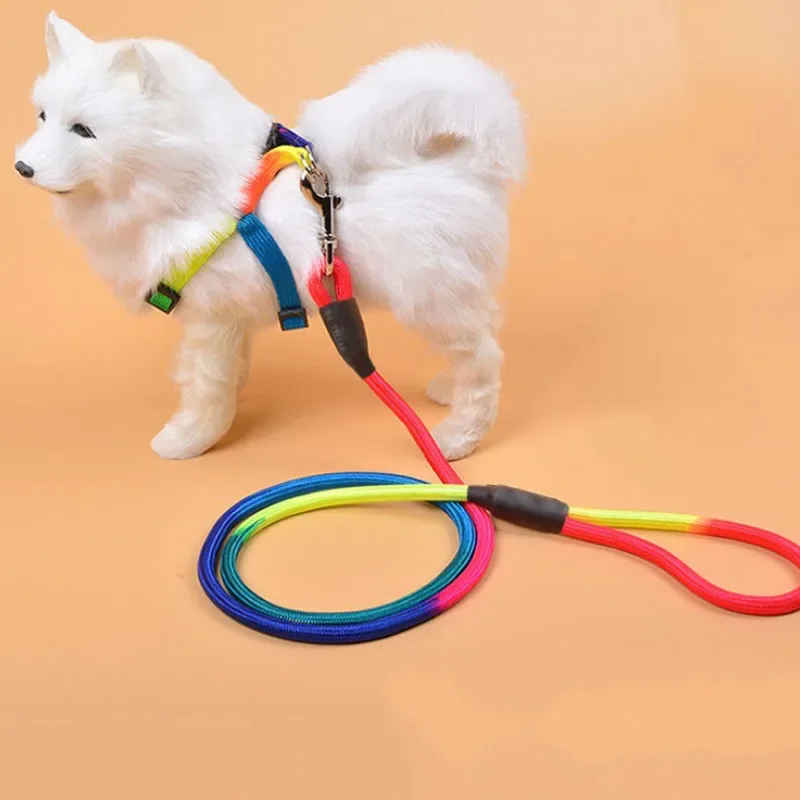 0.8cm/1cm Rainbow Color Weave Nylon Belt Pet Dog Traction Rope Round Training Walking Leading Fashion Leashes Strap Belt Rope