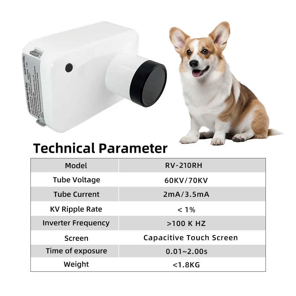 JINGT RV-350R 애완동물 엑스레이 기계, 초고주파 디지털 엑스레이 LCD 화면 이미지 엑스레이 이미징 시스템, 치과 장비