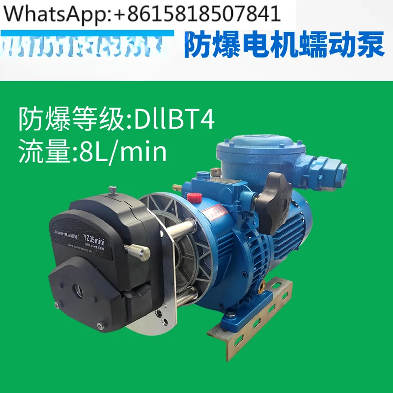 Peristaltic pump large flow explosion-proof motor FB600 electric 380V dust stainless steel chemical spray paint