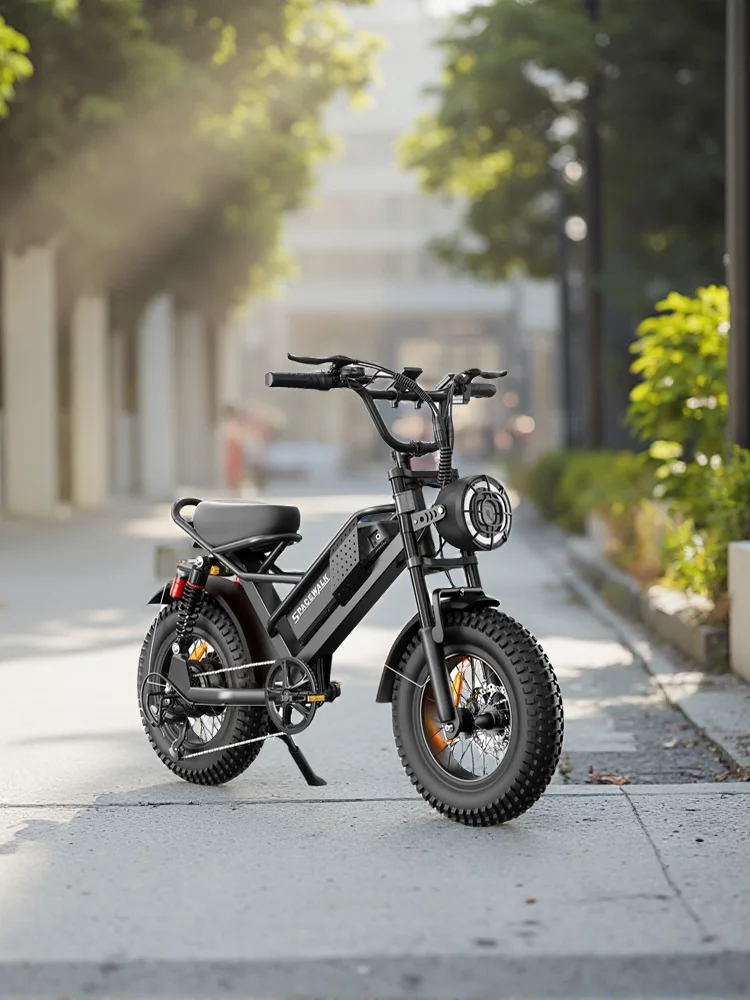 AliExpress EILLEO SPACEWALK Spacewalk 750W Electric Bike for Adults,21.6MPH 70 Miles,48V 15.6Ah Electric Dirt Bike,16" Fat Tire,6-Speed All Terrain E-Bike