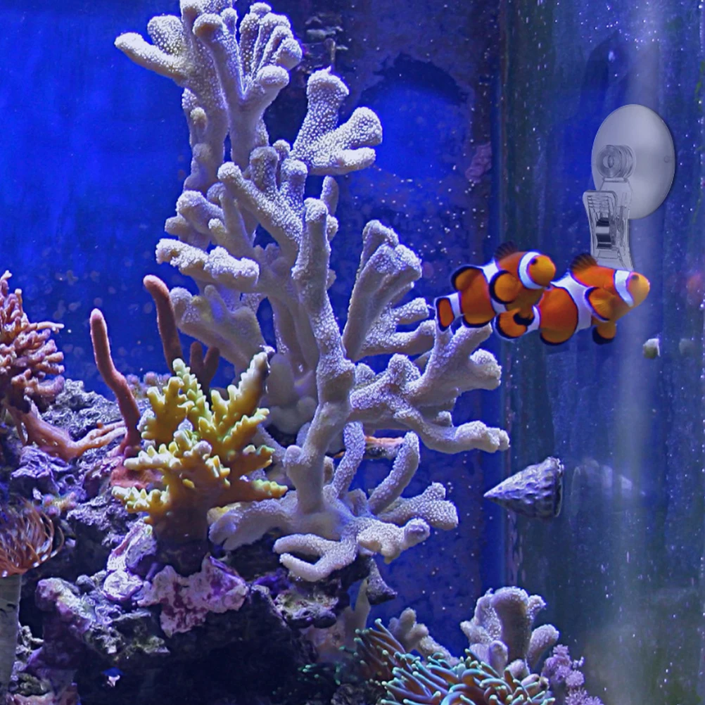 

14Pcs Fish Tank Suction Cup Clip Aquarium Feeder Tool Easy Install Strong Suction Versatile Design Seaweed Veggie Holder