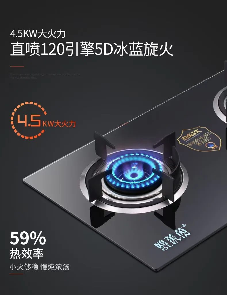 Recruiting Distributors In India Hot Sale Double Burner Gas Portable Cooking Stoves