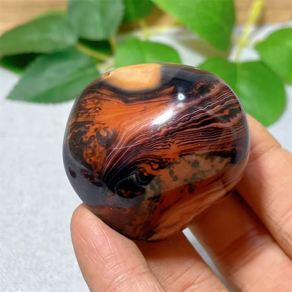 Carnelian Agate Palm Stone Quartz Specimen Crystal Natural Reiki Gemstone Healing Mineral Specimen