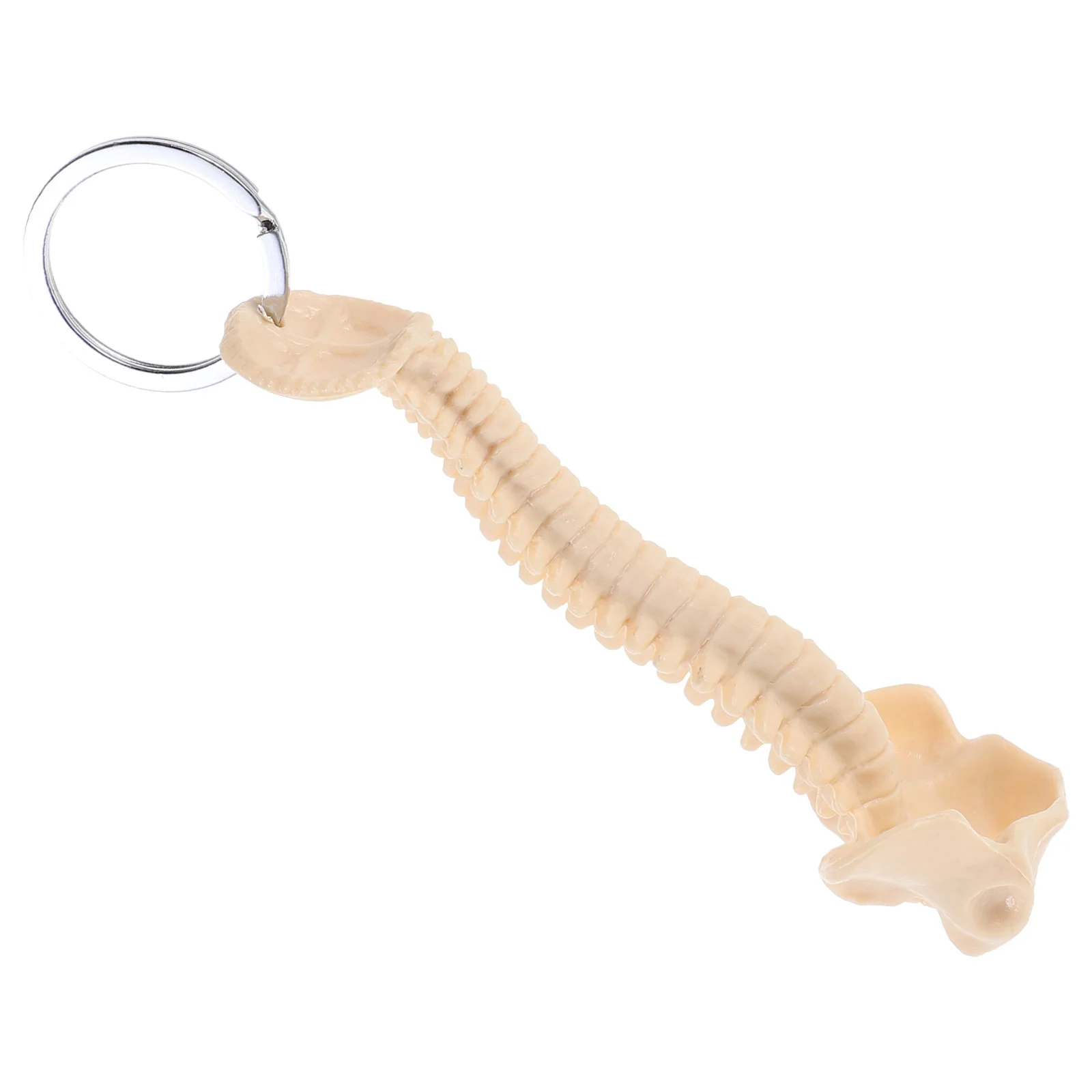 Car Toy Human Spine Model Wallets Teaching Aid Beaded Chain Nurse Carabiner Plush Keychain