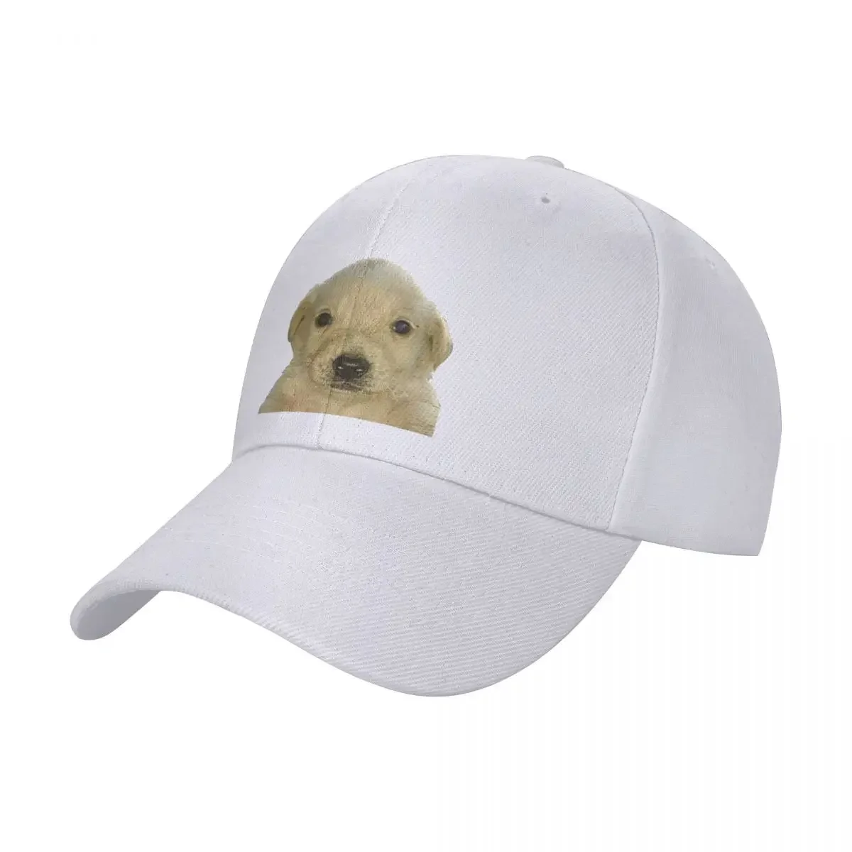 

Jotchua meme jotchua dogCap baseball cap cosplay Military cap man snapback cap Women's hat Men's