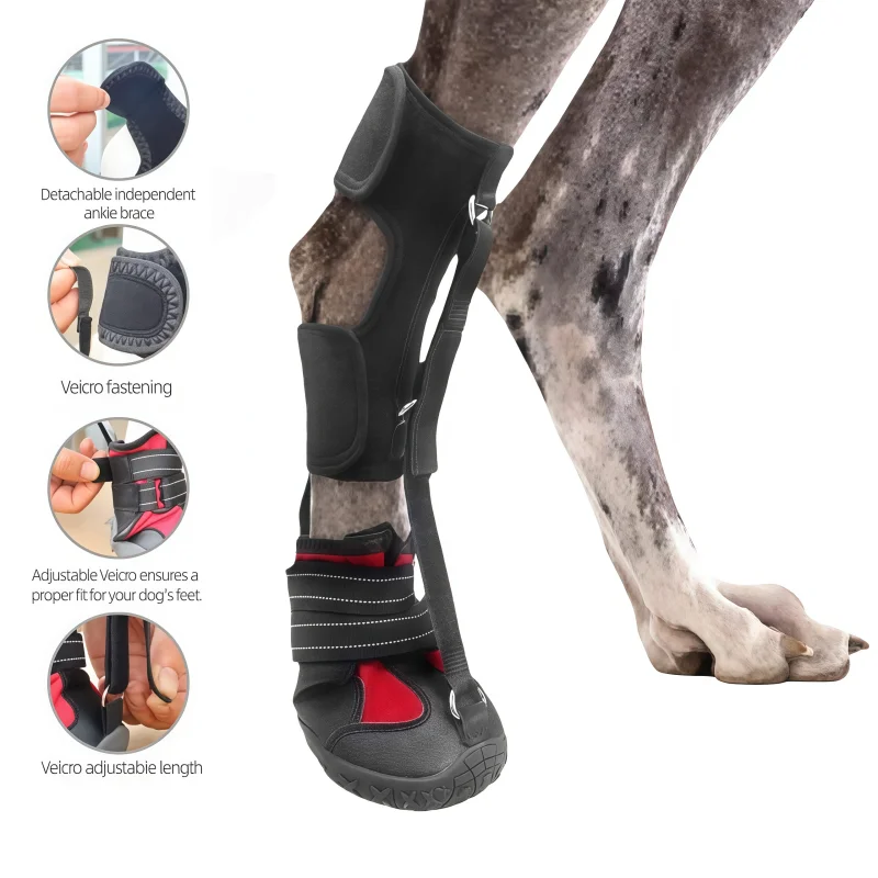 #42 Best Dog Boots to Buy In 2026