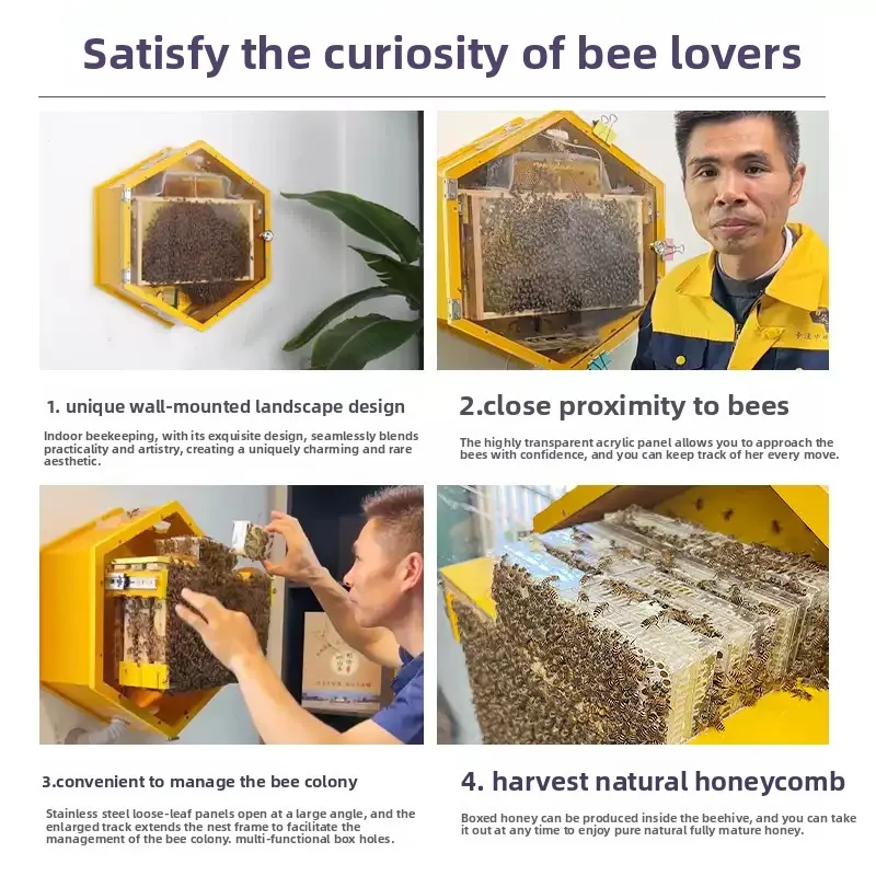 Space Saving Wall Mounted Indoor Beehive Limited Edition Household Beekeeping Equipment For Indoor Bee Farming Small Family
