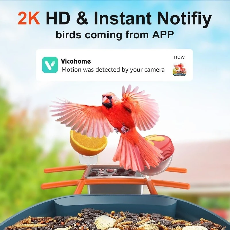 وحدة تغذية PAV-Bird مع كاميرا 2K HD، بطاقة 64 جيجابايت، AI تحديد أنواع الطيور بيت الطيور الذكي مع كاميرا تعمل بالطاقة الشمسية،