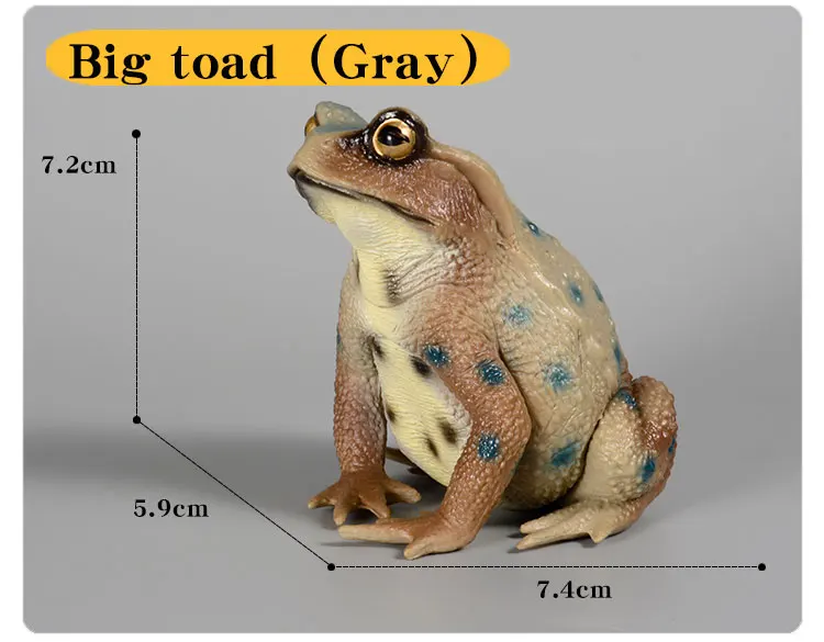 Pädagogische realistische Krötenfrosch-Figur, handbemaltes Wildtier, Insektenfigur, Gummi-Tiermodell, Spielzeug für Kinder – Detail 5