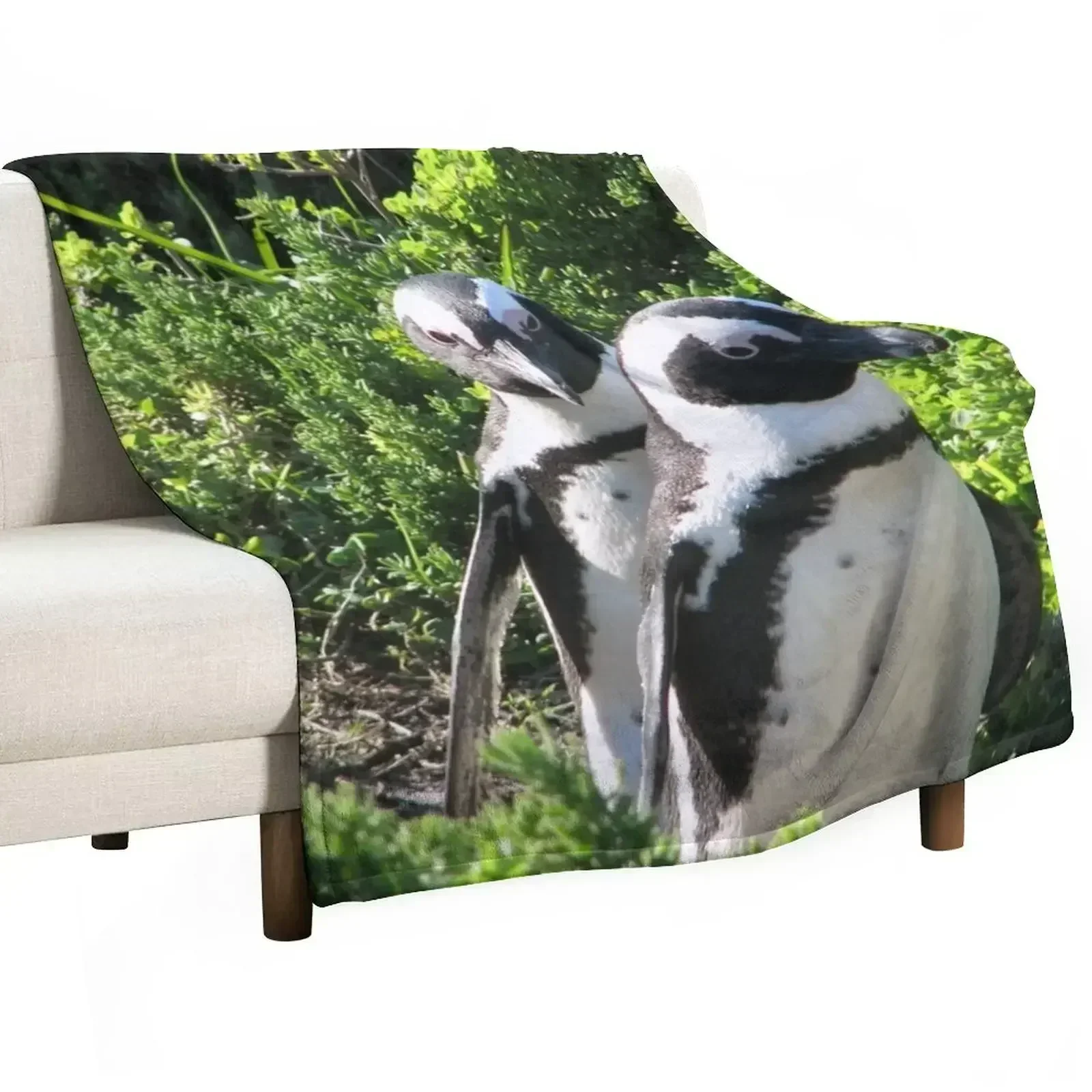 Two African Penguins Strolling Boulders Beach, Cape Town, South Africa Throw Blanket Soft Plaid Softest Vintage Blankets