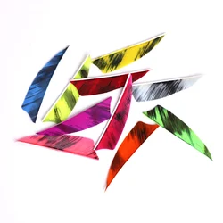 20pcs Turkey Arrow Feathers 3/4 inch Fletchings Natural DIY Vanes Fletches Archery Hunting Shooting Arrow Shaft Accessories
