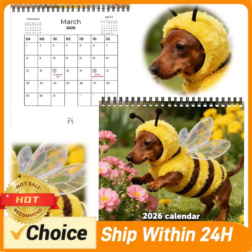 

Настенный календарь с таксами на 2026 год, 12 месяцев, забавные фотографии собак и питомцев, настенный календарь с милыми изображениями такс, подарок для женщин и мужчин