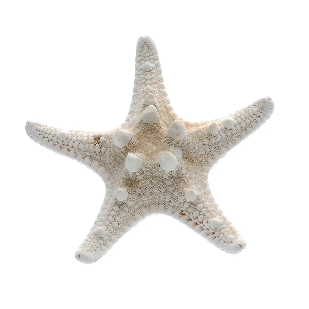 Summer Sea Starfish 1 Pcs Hair Clips Women Nice Star Starfish Sweet Hairpin Beach Hair Clip Girls Fashion Headwear Hair Accessor