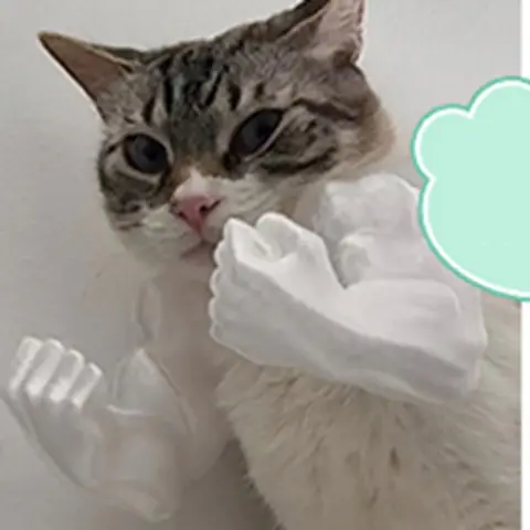 Super Muscle Cat Decorates Arms Sexy And Majestic Cat Cosplay Muscle Cat Decorations Festival Dress-up Gift Cat Accessories