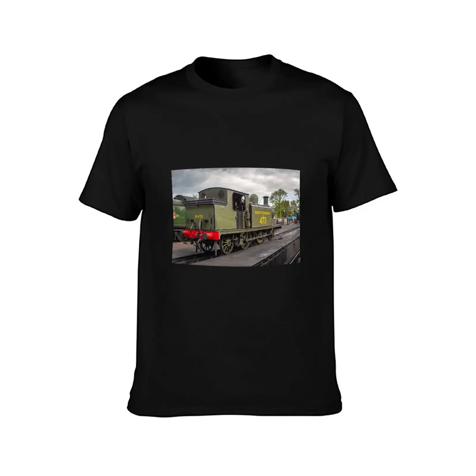 The Bluebell Railway T-Shirt Short sleeve tee sublime clothes for men