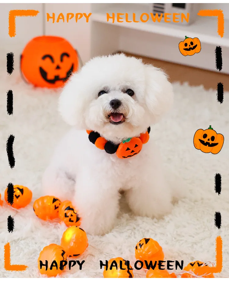 https://ae-pic-a1.aliexpress-media.com/kf/S23a06001ceb440f092b9fa558c05f0f5H.jpg