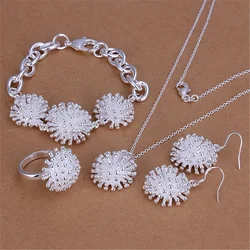 925 Sterling Silver Fireworks necklace earring bracelet rings Jewelry set for women Fashion Party wedding accessories Gifts