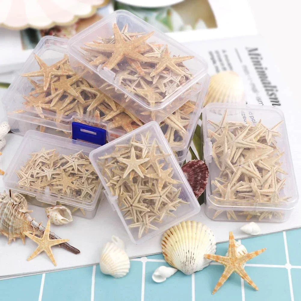 1Box 20/50/100pcs Natural Starfish Boxes Beach Craft Decoration Natural Sea Stars Wedding Party DIY Beach Handicraft Home Decor