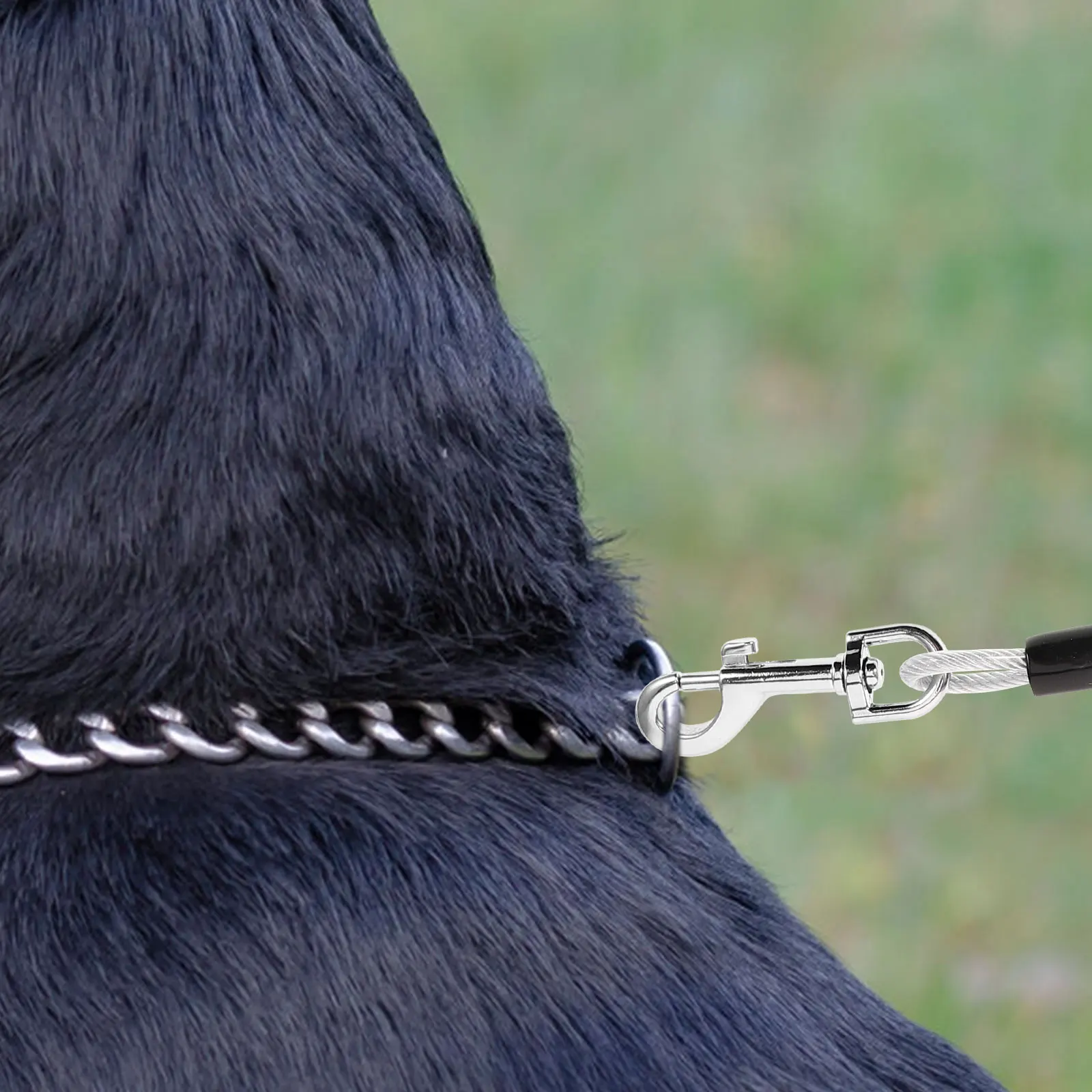 

Durable Soft Pet Leash Traction Rope Lightweight Dog Walking Leash for All Sizes Comfortable Grip Training Running