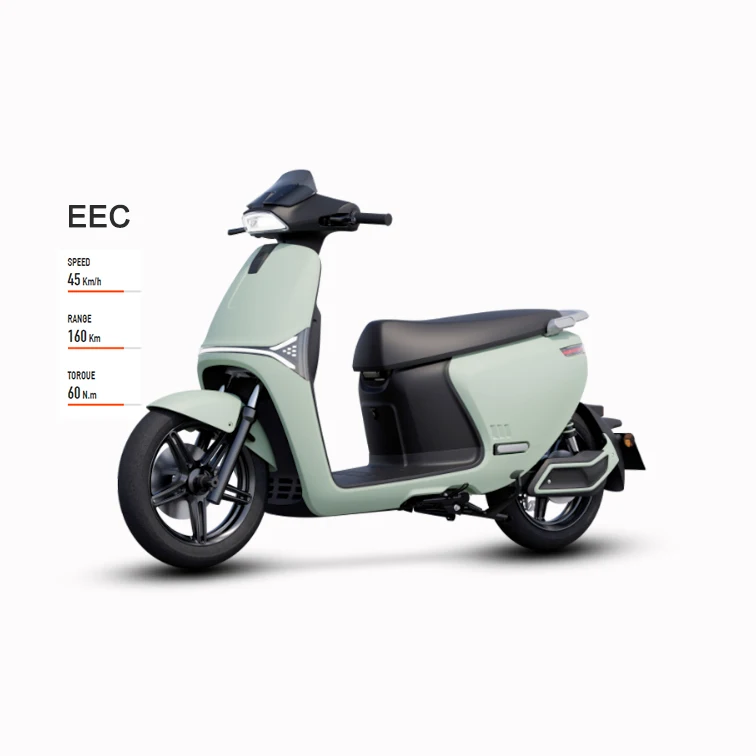 2000w Electric Moped Scooter High Speed Electric Motorcycles Adults 72v30ah Lithium Battery Two-wheeled Electric Vehicles