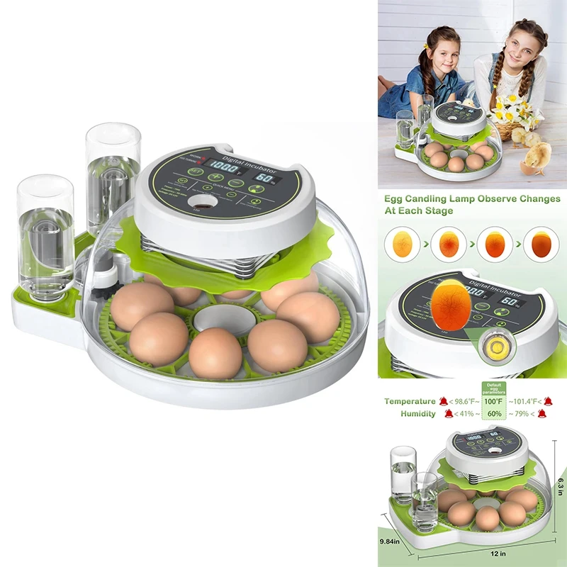 Egg Incubator With Automatic Egg Flipping Function, Temperature And Humidity Digital Control, Supporting 8 Eggs