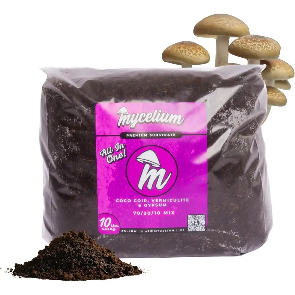 Cvg Bulk Mushroom S…