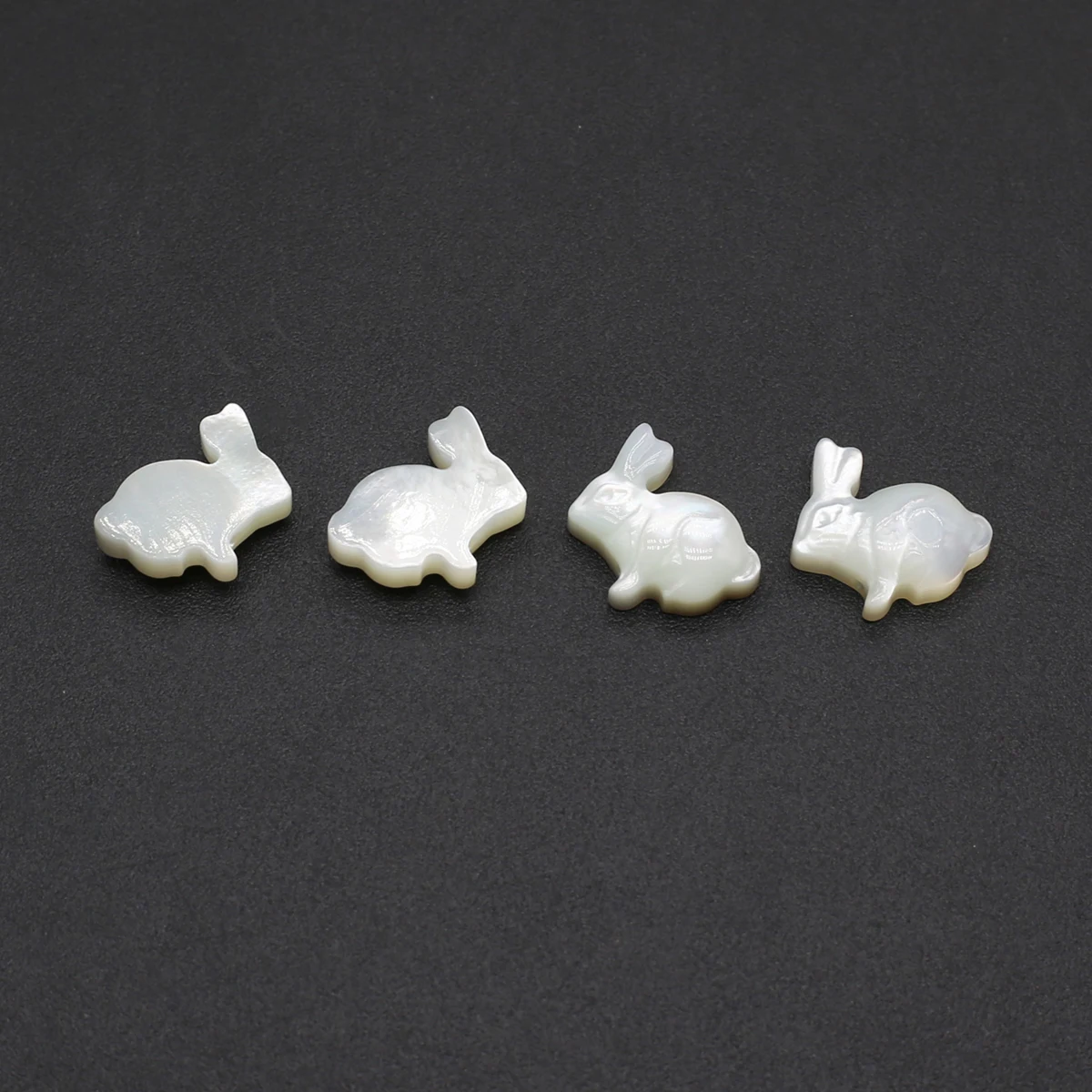 4 stuks konijn wortel vorm nat - String Of Pearls Plant recensie en prijs