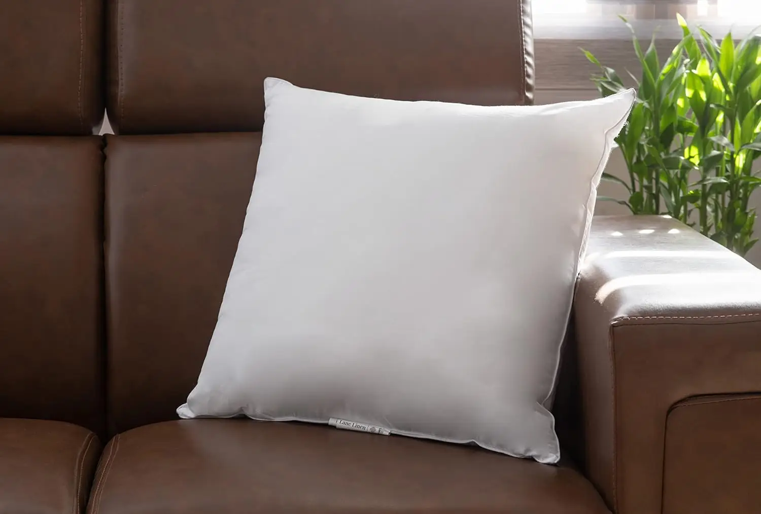 Throw Pillow Insert-Pack of 2,Down Alternative Pillow Inserts for Decorative Pillow Covers,Throw Pillows for Bed,Couch Pillows