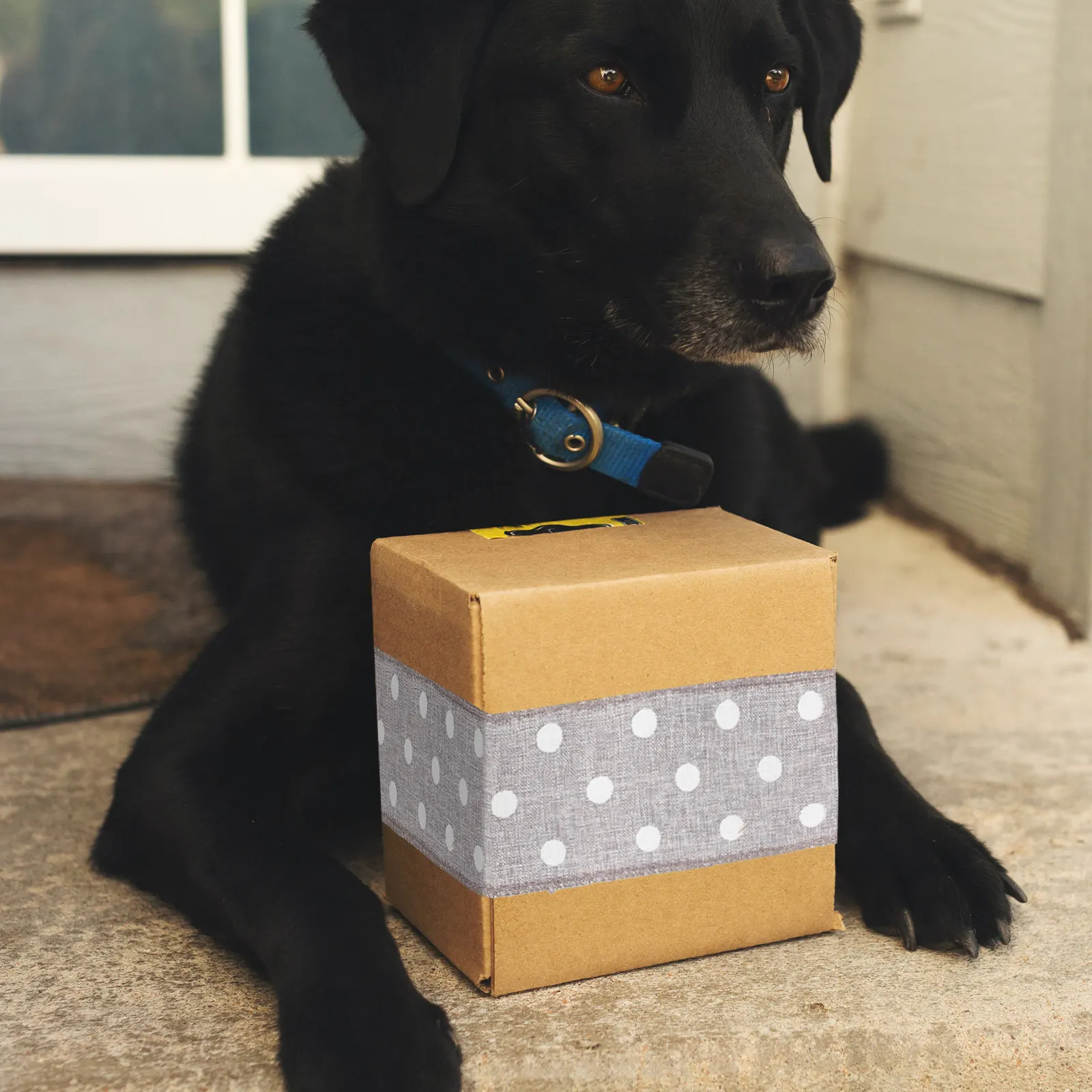 

3 Rolls Christmas Linen Ribbon Roll Festive Floral Striped Webbing for Gift Wrapping Bouquet Decoration DIY Craft Making